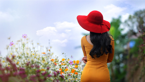 Nữ sinh,Phạm thanh tâm,nữ sinh truyền hình
