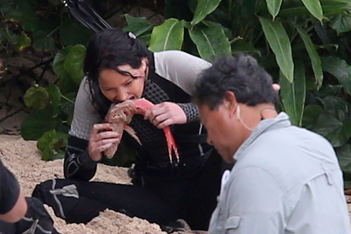 Jennifer Lawrence,Catching Fire