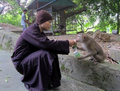 chùa nhẫm dương,thánh quang,hải dương,kinh môn