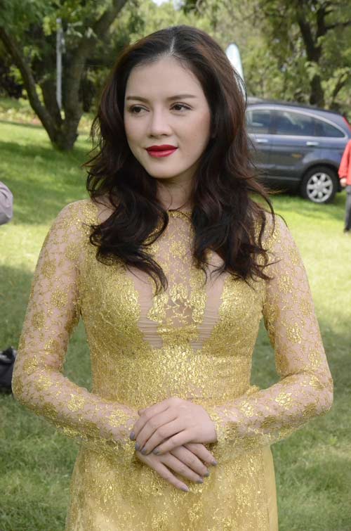 Lý nhã kỳ,Đại sứ Du lịch Việt Nam