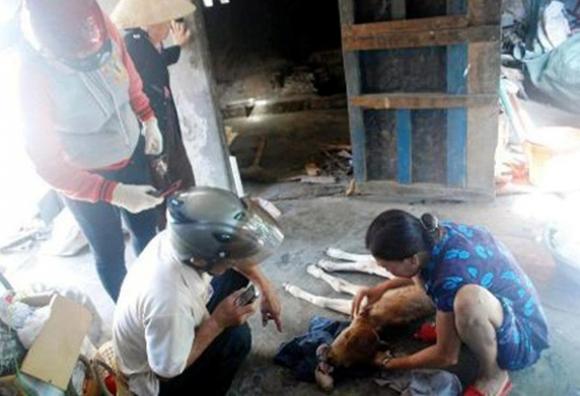 chuyện lạ,chuyện lạ việt nam,phi thường,kỳ quặc,sinh vật lạ