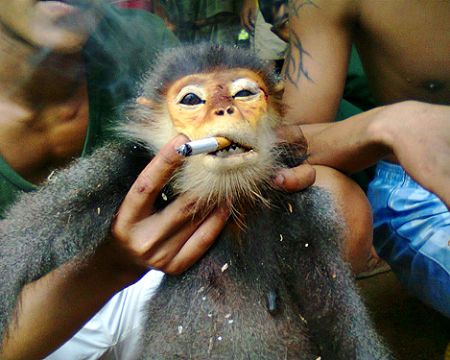 Vụ án,dương chí dũng,Vũ sư lừa tình