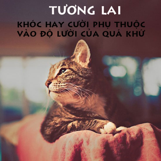 ảnh vui,ảnh cười,thư giãn,hài hước,ảnh tếu,ảnh hài hước