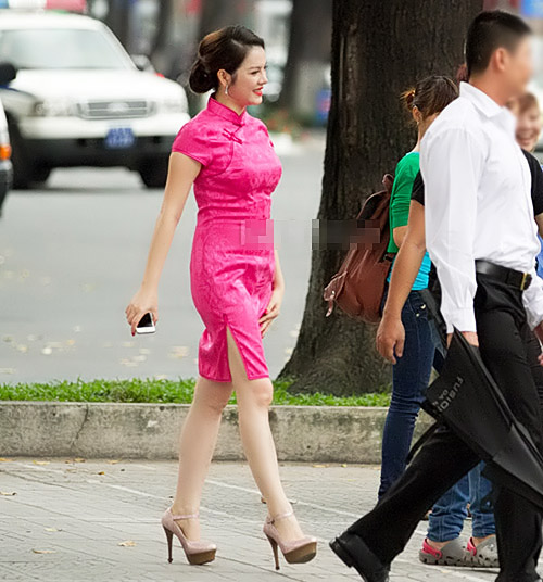 Lý nhã kỳ,Đại sứ Du lịch Việt Nam