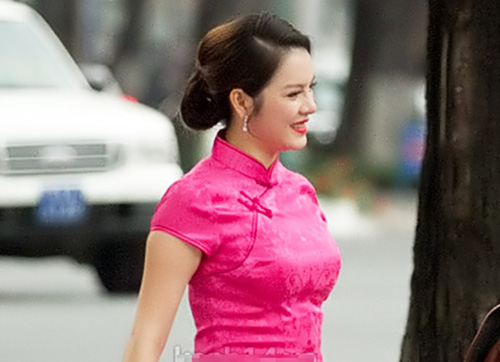 Lý nhã kỳ,Đại sứ Du lịch Việt Nam