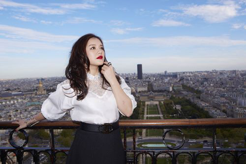 Lý nhã kỳ,Đại sứ Du lịch Việt Nam