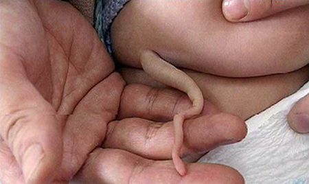 Chuyện lạ,chuyện lạ thế giới,phi thường,kỳ quặc,đuôi người