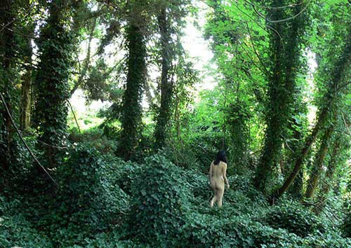 chuyện lạ,chuyện lạ thế giới,phi thường,kỳ quặc,tắm tiên,hàn quốc