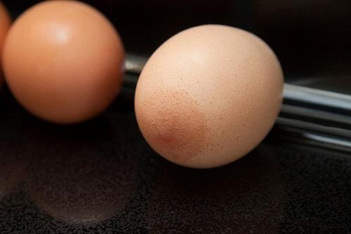 Chuyện lạ,chuyện lạ thế giới,phi thường,kỳ quặc,quả trứng