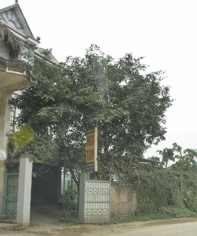 Thầy giáo,nữ sinh,thầy giáo hại đời nữ sinh,hãm hiếp,thầy giáo dâm ô