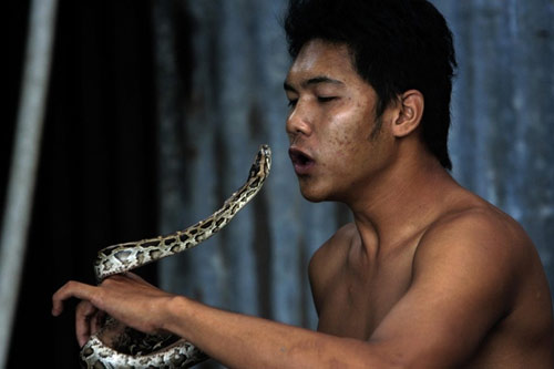 Chuyện lạ,chuyện lạ thế giới,phi thường,kỳ quặc,rắn độc