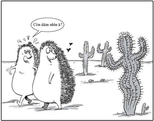 ảnh vui,ảnh cười,thư giãn,hài hước,ảnh tếu