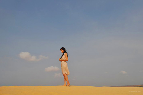 Ngọc Viễn Đông,ngô thanh vân