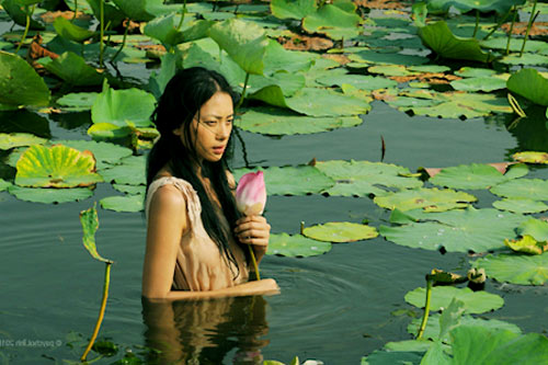 Ngọc Viễn Đông,ngô thanh vân
