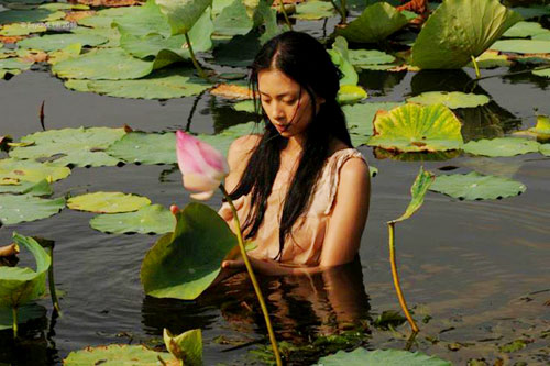 Ngọc Viễn Đông,ngô thanh vân