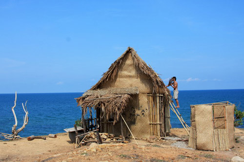 Ngọc Viễn Đông,ngô thanh vân