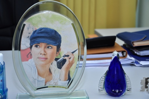 Diễn viên,Việt Trinh
