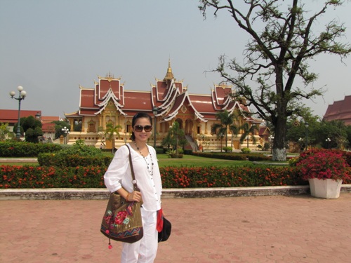 Diễn viên,Việt Trinh
