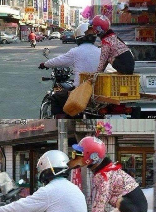 cười,hài hước,ngộ nghĩnh,châu Á