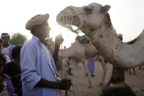 người bay,nhảy lạc đà,Yemen
