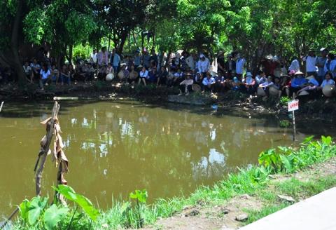 vụ án,án mạng,nữ sinh,tin tức