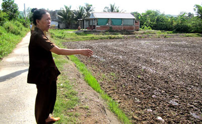 vụ án,án mạng,giết người,hiếp dâm,cụ bà