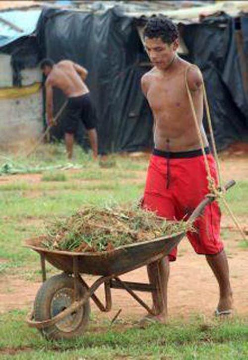 hài hước,ngớ ngẩn,ngộ nghĩnh,buồn cười,không tưởng