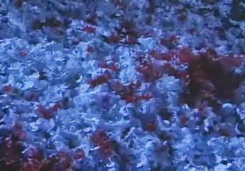 Tiểu long nữ,Kim Dung,tiểu thuyết,kiếm hiệp,mối tình,tình yêu,tiên nữ