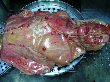 Kittiwat Unarrom,làm bánh,bánh mỳ,hình thù quái dị,bộ phận,cơ thể người