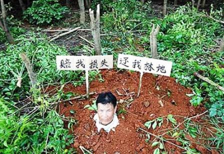 Zhou Haijue,tự chôn,đào hố,giữ đất,phá hoại,cây rừng,chiếm đất,làm nhà