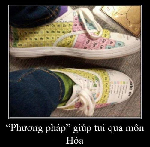 ảnh vui,ảnh cười,thư giãn,hài hước,ảnh tếu,quay cóp
