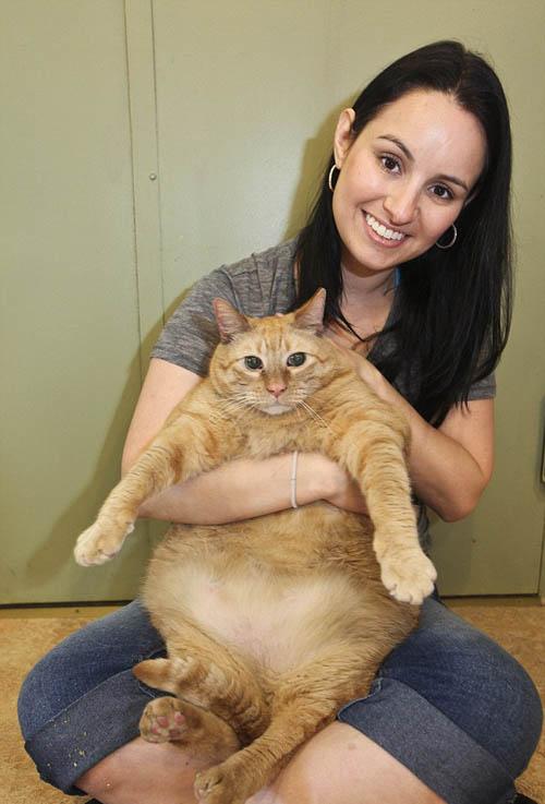 Chuyện lạ,chuyện lạ thế giới,phi thường,kỳ quặc,Mèo Meow