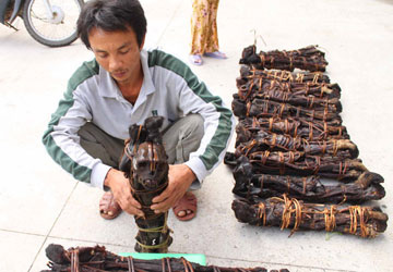 Giết voọc,quân nhân Giết voọc,giết khỉ mang thai,ngược đãi động vật