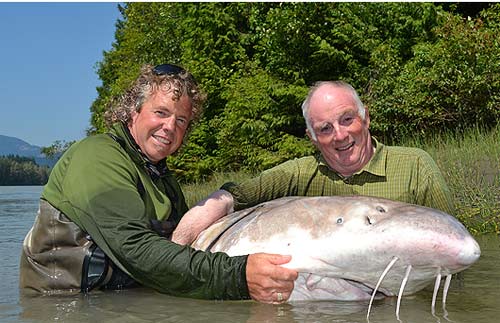 Michael,Margaret Snell,siêu cá,nặng 500kg,tay không