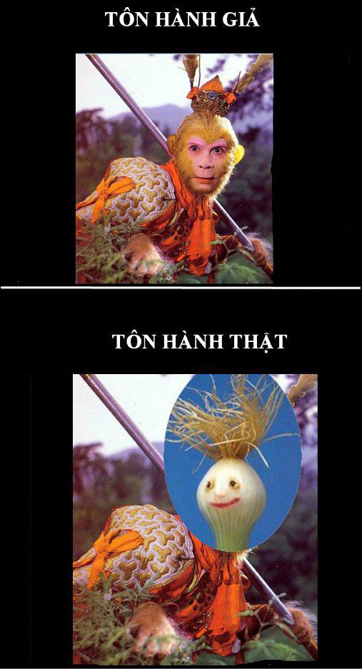 ảnh vui,ảnh cười,thư giãn,hài hước,ảnh tếu