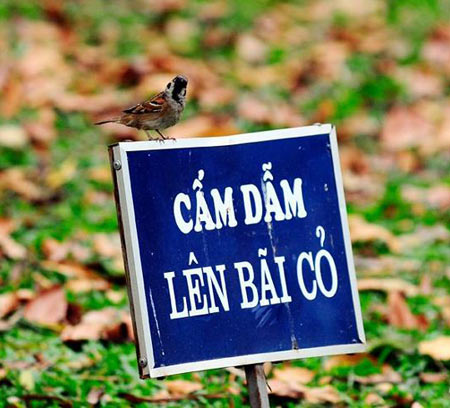 ảnh vui,ảnh cười,thư giãn,hài hước,ảnh tếu,việt nam
