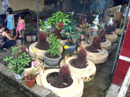 công chúa Lê Thị Mai Hoa,Thái Thành công chúa,xác ướp