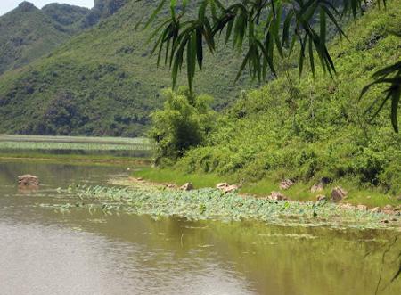tai nạn,chết người,chết đuối,học sinh