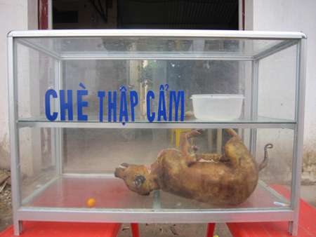 ảnh vui,ảnh cười,thư giãn,hài hước,ảnh tếu