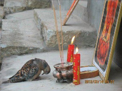 ảnh vui,ảnh cười,thư giãn,hài hước,ảnh tếu,tranh vui