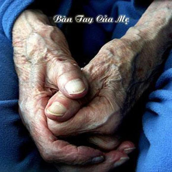 Bức ảnh 'Bàn tay của mẹ' khiến hàng nghìn con tim rơi lệ
