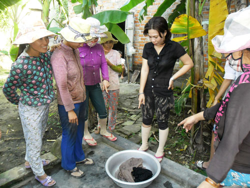 Sinh vật lạ,Sinh vật lạ trong quần áo