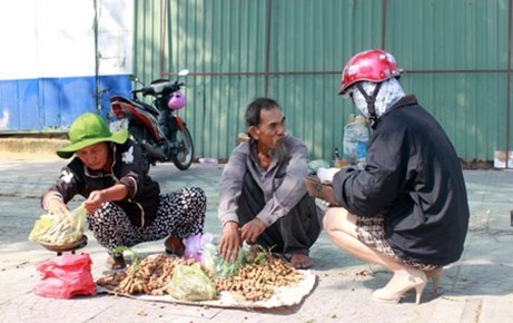 ông già bán me,vợ chồng bán me,Vợ chồng già,mưu sinh
