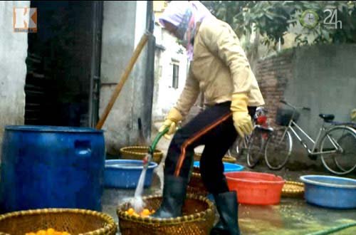Rùng mình mứt trộn ruồi chết,mứt trộn ruồi,mứt tết,tết 2013