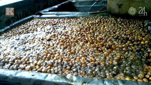 Rùng mình mứt trộn ruồi chết,mứt trộn ruồi,mứt tết,tết 2013