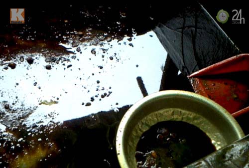 Rùng mình mứt trộn ruồi chết,mứt trộn ruồi,mứt tết,tết 2013