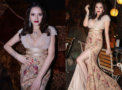 Lý nhã kỳ,Đại sứ Du lịch Việt Nam