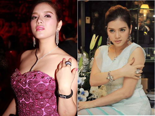 Lý nhã kỳ,Đại sứ Du lịch Việt Nam
