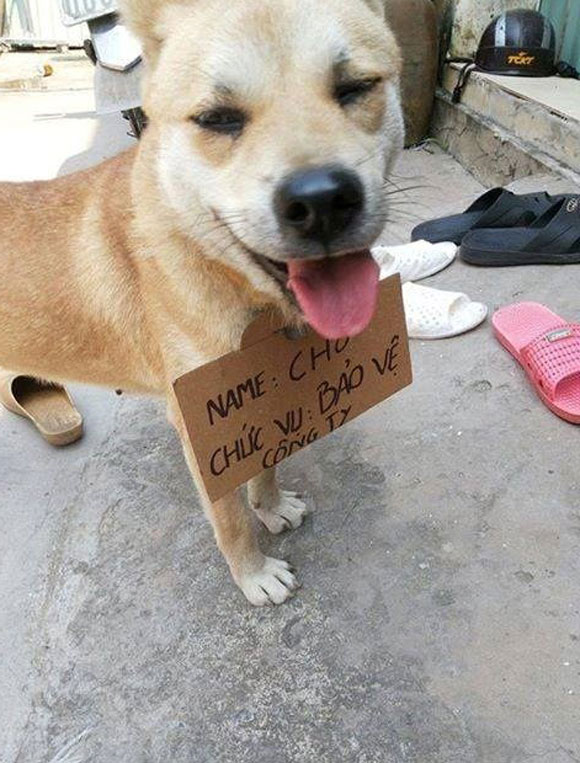ảnh vui,ảnh chế,hài hước,ảnh tếu,ảnh hài hước