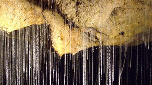Hang Waitomo Glowworm,Hang động đom đóm,Du lịch New Zealand